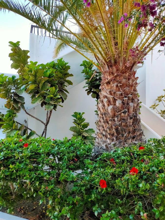 コスタ・テギセFlor De Cactusアパートメント エクステリア 写真